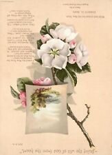1880s-90s White Flowers Doing the Wil of God Everett Burr New Year Trade Card picture