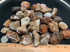 Rough Ellensburg Agate Lot G - 2 Pounds for Tumbling - Lapidary - Cabbing picture