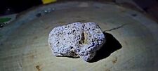 Rare Highly Detailed Coral Mud Stone picture