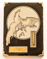 1930s Black Advertising Mirror w/ Thermometer feat Cockatiels • Fredonia, ND Bar picture
