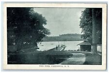 c1920's The Pier Boats Lake Docking Site Shade Cazenovia New York NY Postcard picture