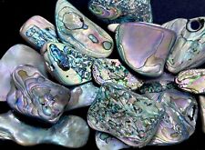 Lot 1/4 Lb (4.34 Oz) Assorted Tumbled Abalone Shell Pieces Medium / Large picture