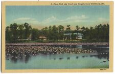 Postcard MD Pine Bluff Lily Pond And Hospital Salisbury Maryland Vintage picture