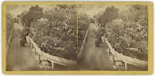 WASHINGTON DC SV - Botanical Garden - HF Warren 1860s picture