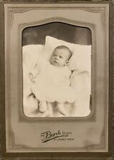 Vintage Cabinet Card 1880s The Burch Studio St. Johns Michigan Retro Photograph picture