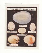 Jacobs Biscuits Birds Eggs picture