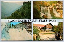 Banner Greeting~Blackwater Falls Park Monongahela Forest~Vintage Postcard picture
