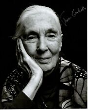 JANE GOODALL Signed Autographed 8x10 Photo picture