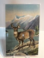c1940s Blacktail Deer Sitka Alaska Vintage Linen Postcard picture
