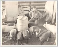 1940s-1950s Female Farmer in Pig Pin~Feeding Livestock~Homestead VTG Photo picture