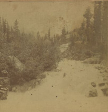 c1890 SELKIRK GLACIER CANADA RIVER BORN FORREST MOUNTAINS STEREOVIEW 21-38 picture