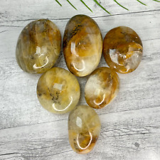 Dendritic Golden Healer Quartz Palm Stones Meditation Crystal picture