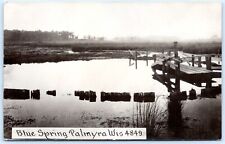 Postcard RPPC WI Palmyra Wisconsin Blue Spring Lake Jefferson County LL Cook R49 picture