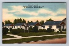 Napoleon OH-Ohio, Biddies Motel, Advertising, c1952 Antique Vintage Postcard picture