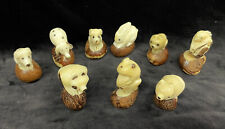 9 VINTAGE TAGUA NUT ANIMAL FIGURINES  - HAND CARVED MENAGERIE picture