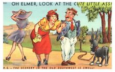 Linen Postcard Risque Comic Humor Oh Elmer Look at the Cute Little Ass Donkey picture
