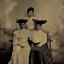 Antique Tintype Group Photograph Beautiful Young Women Fashionable Big Hats picture