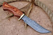 Custom Handmade Forged Damascus Steel HUNTING Knife Natural Wood & Brass Handle picture