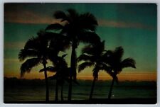 Postcard Florida Palm Trees Sunrise picture