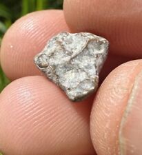 NWA 13974 Moon/Lunar Meteorite, Feldspathic Breccia, Recent Find, 0.75 grams picture