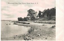 Great Neck Long Island Manhasset Bay East Shore Fine Litho 1901 Unused NY  picture