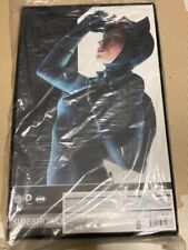Sideshow Batman Catwoman 12 in 1/6 Action Figure picture