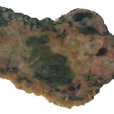 UTAH DINOSAUR COPROLITE SLAB ~134 grams / rough agate jasper (poop dung) picture