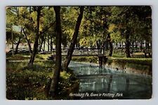 Harrisburg PA-Pennsylvania, Grove In Paxtang Park, Vintage c1908  Postcard picture