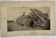 Vintage c1919 RPPC Postcard B&W WWI Era 3 Farmers Cutting Hay w/horse & Farming picture
