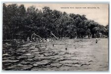 c1910s Swimming Pool Saucon Park Bathing View Bethlehem Pennsylvania PA Postcard picture