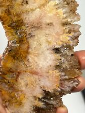 Amazing Plume Agate slab Cabbing Lapidary Collecting Combo Ship Avail Oregon picture