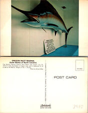 Blue Marlin was caught july 1974, Oregon inlet Marina NC Postcard Unused 51494 picture