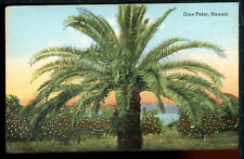 Early Date Palm Tree Hawaii Historic Vintage Postcard South Seas Curio picture