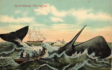 Sperm Whaling The Capture Atlantic Ocean Off New Bedford MA Vintage Postcard picture