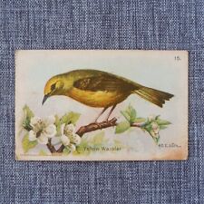 YELLOW WARBLER #15 Arm & Hammer Useful Birds of America Fifth Series Card 1933 picture