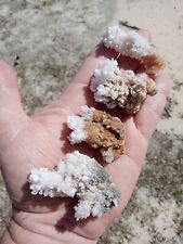 Lot of 4 Stunning White Flower Calcites Mineral Specimens W6 picture