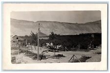 c1910's Western Nut Farm Horse Wagon California CA RPPC Photo Postcard picture