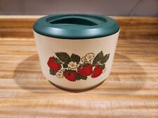 Sterilite Canister Strawberry Floral Vintage 70s Plastic Kitchen picture