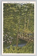 Postcard Rustic Beauty in The Pocono Mts Pennsylvania c1920 picture