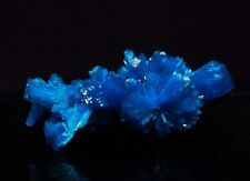 Cluster of bows of dark blue Cavansite  (non precious natural stone) # 2223 picture