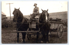 Postcard RPPC Farmer Two Draft Horse Hitch Wagon c1915 A11 picture