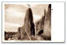 Pillars of Hercules Columbia River Oregon OR DB Postcard V18 picture
