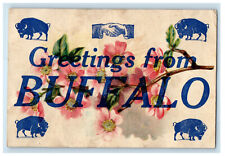 c1910 Greetings from Buffalo New York NY Antique Unposted Postcard picture