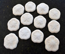 12 White Baby Sea Biscuits (Sea Cookies) 1-1 1/2