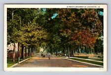 Lafayette LA-Louisiana, A Pretty Driveway, Antique, Vintage c1929 Postcard picture
