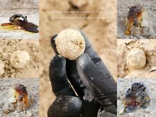 Brimstone Sulfur Ball Chunk • Ron Wyatt • Biblical Sodom & Gomorrah • Holy Land picture