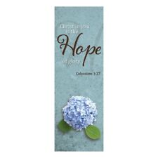 Christ In You Is Hope Inspirational Scripture Full Color Church Banner 63 In picture