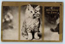 Greenfield Iowa IA Postcard Haired Cat Kitten I Am Looking For A Beau c1910's picture