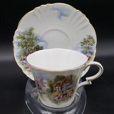 Vintage Royal Standard Fine Bone China Cup and Saucer Cottage and Garden Scene picture
