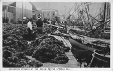Vtg. c1920's Unloading Sponges at Docks Tarpon Springs Florida Postcard p1130 picture
